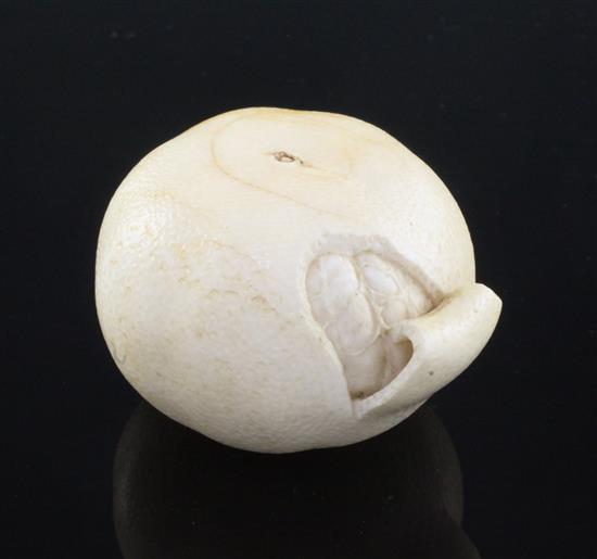 A Japanese ivory model of a partially peeled satsuma, early 20th century, 6.5cm, colour faded, age cracks